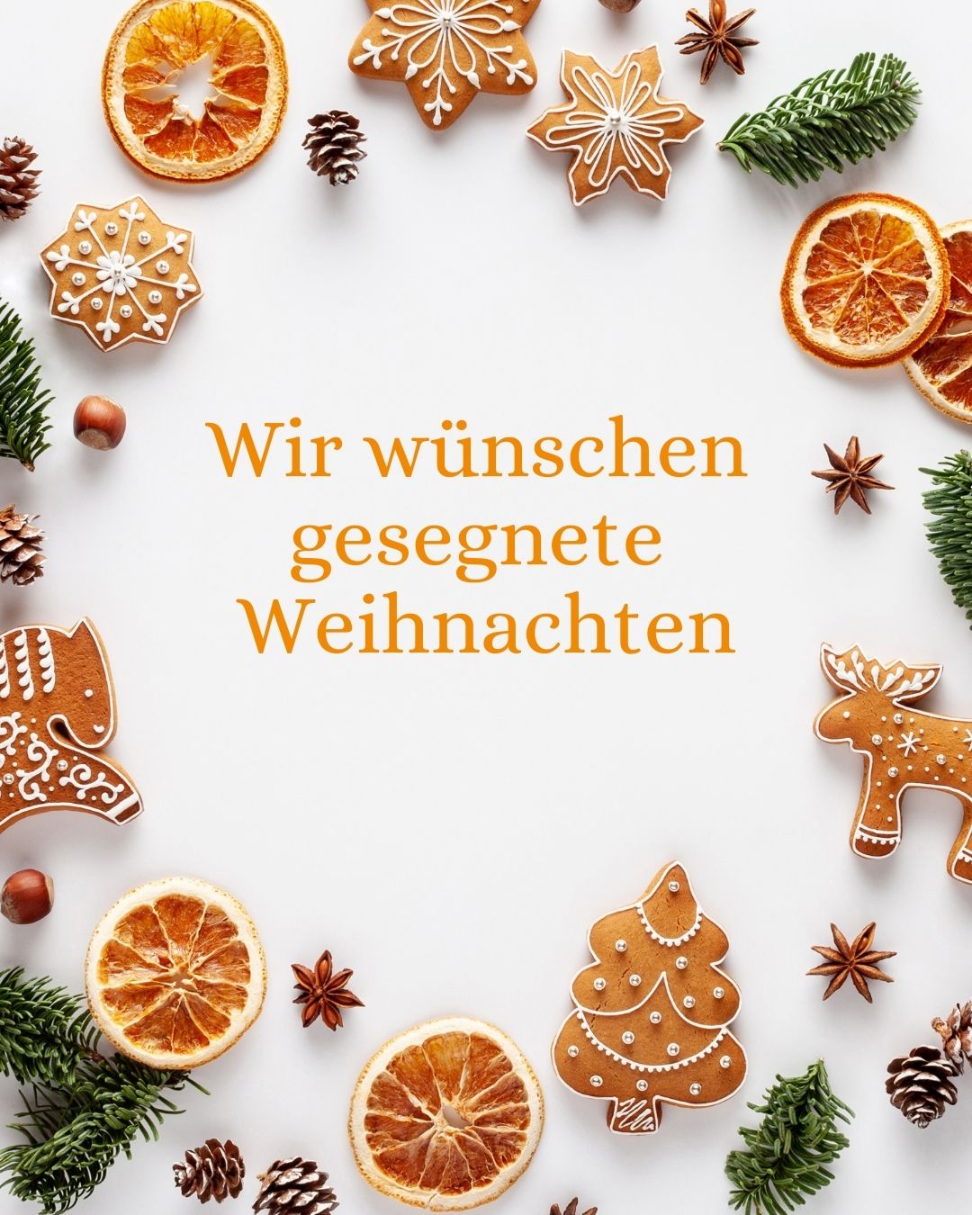 Weihnachten_Ströbele__NL_-_Bild___Text.jpg